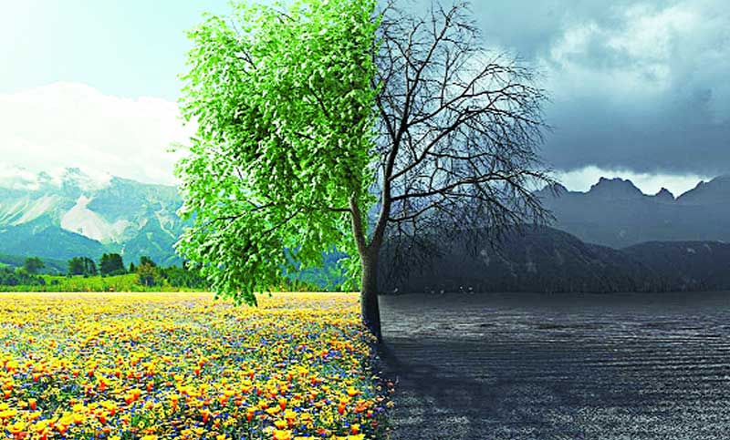 জাহান্নামিদের খাদ্য ও পানীয়