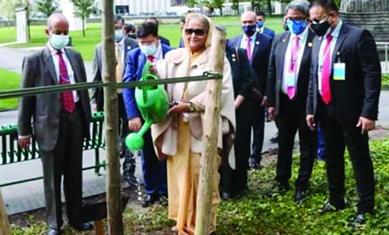 গাছের চারা রোপণ করেন প্রধানমন্ত্রী শেখ হাসিনা