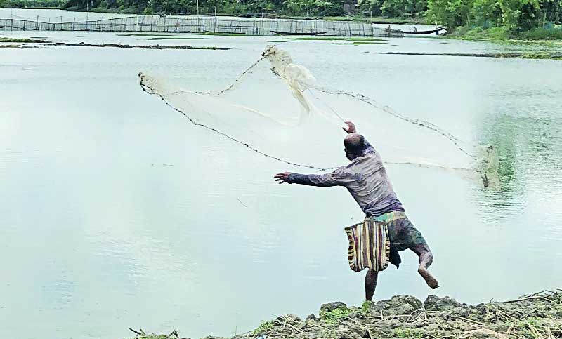 মাছ ধরা