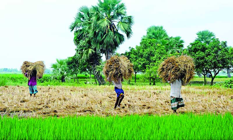 কাল আসছে হেমন্ত
