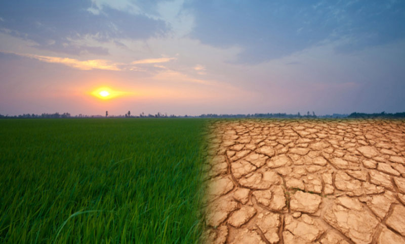 ক্ষতিগ্রস্ত দরিদ্র দেশগুলো আরো ক্ষতির মুখে