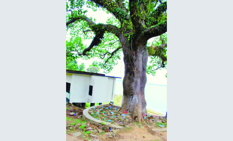 চাপালিশ