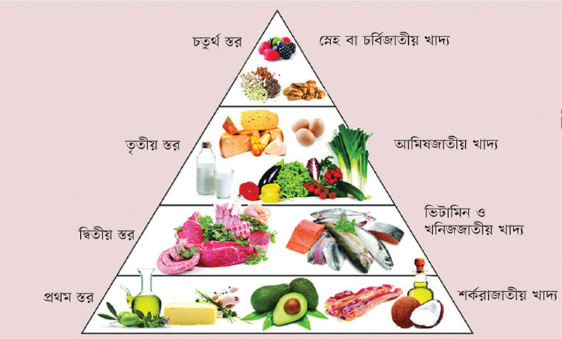 সুষম খাদ্য পিরামিড