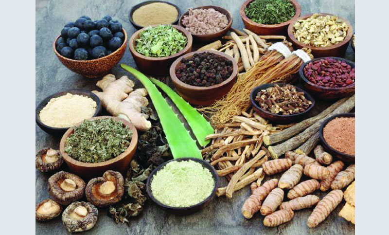 আয়ুর্বেদ