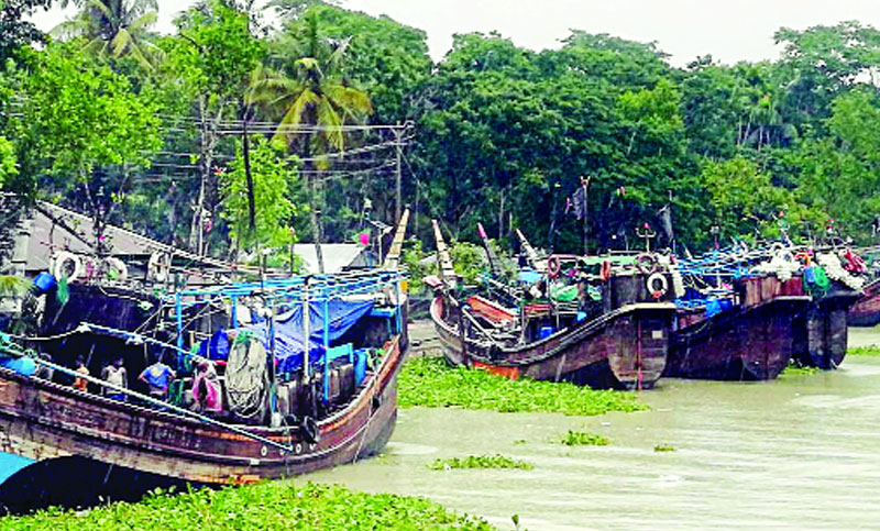 ভরা মৌসুমে ইলিশ শিকার বন্ধ, মৎস্যজীবীরা বিপাকে