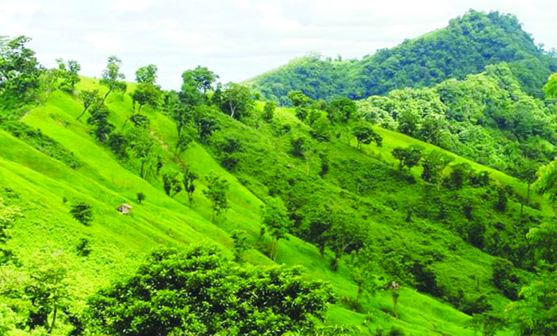 তাজিংডং