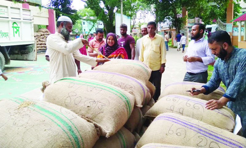 সরাসরি বীজ ধান সংগ্রহ করছে সরকার