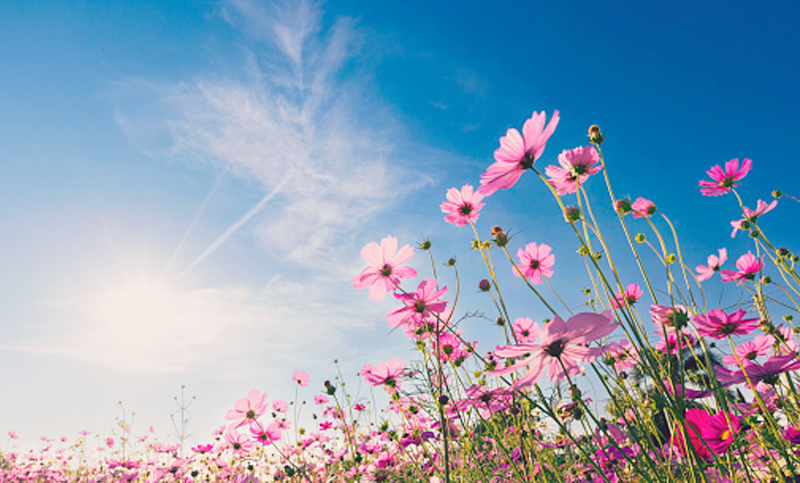 Демалыс: Мәскеудегі ең арзан секс