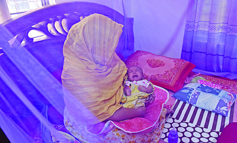 মশা নিধনে দায়সারা দুই সিটি বাড়তি বিড়ম্বনা লোড শেডিং