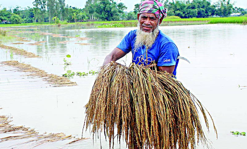 তিস্তার পানি বাড়ছে, বন্যার আশঙ্কা