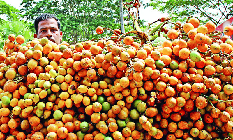 দেশে পাঁচ হাজার কোটি টাকার সুপারির বাজার