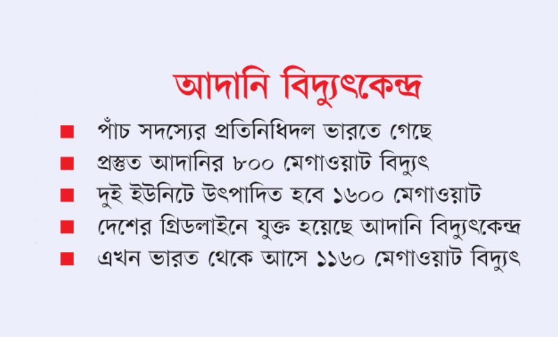 ১৬ ডিসেম্বর বিদ্যুৎ পেতে প্রতিনিধিদল ভারতে