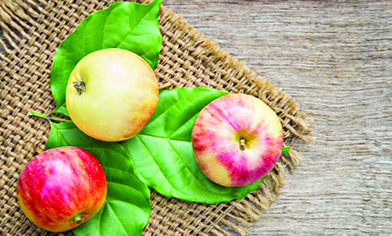 কিডনি ভালো সঠিক খাদ্যাভ্যাসে