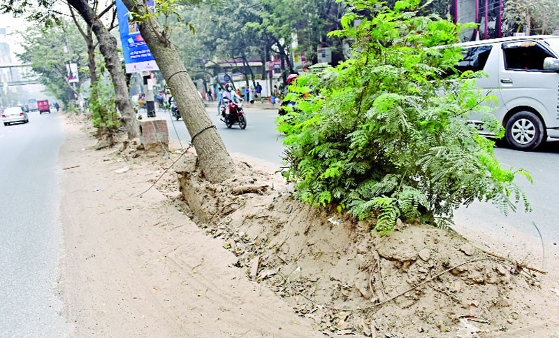 সড়ক বিভাজকের ধুলায় আচ্ছন্ন সাতমসজিদ রোড