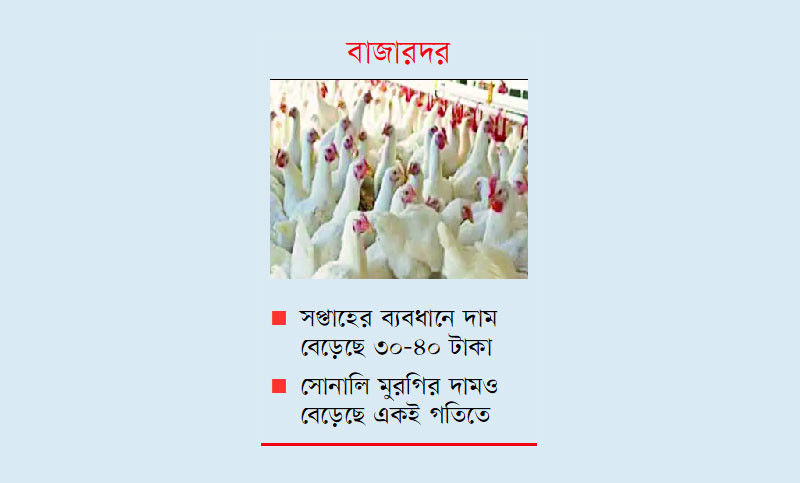 ২০০ টাকা ছুঁই ছুঁই ব্রয়লার মুরগির দাম