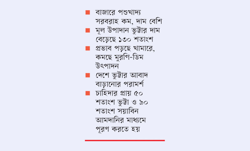 ভুট্টা-সয়াবিনের দাম বেশি, কমছে পশুখাদ্য উৎপাদন
