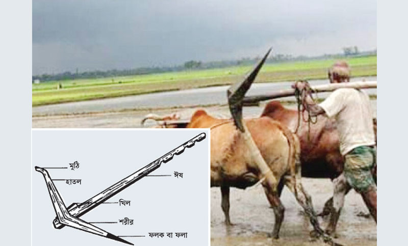 লাঙল