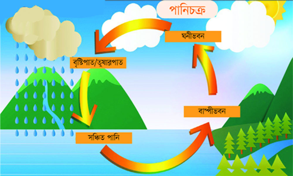 পানিচক্র