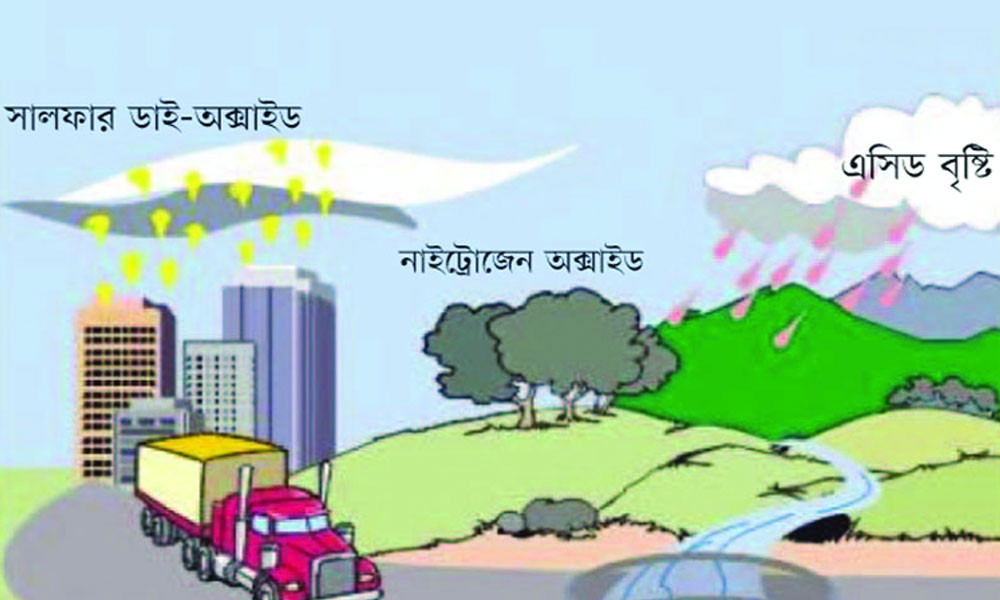 পঞ্চম শ্রেণি : অধ্যায়ভিত্তিক প্রশ্ন প্রাথমিক বিজ্ঞান