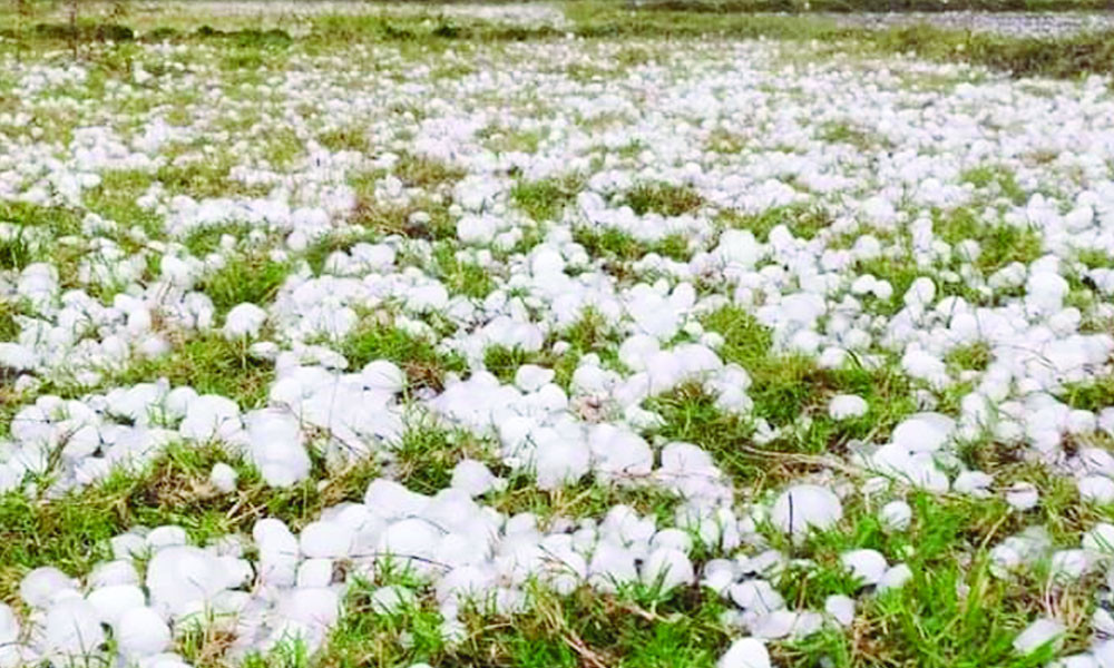 বিভিন্ন স্থানে কালবৈশাখী শিলাবৃষ্টি, ফসলের ক্ষতি