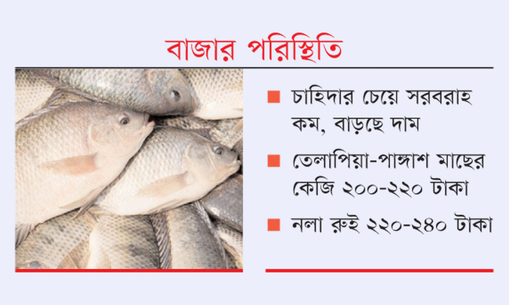 মুরগির ঝাপটা মাছেও লেগেছে