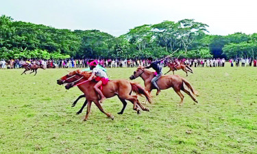 ঘোড়দৌড়