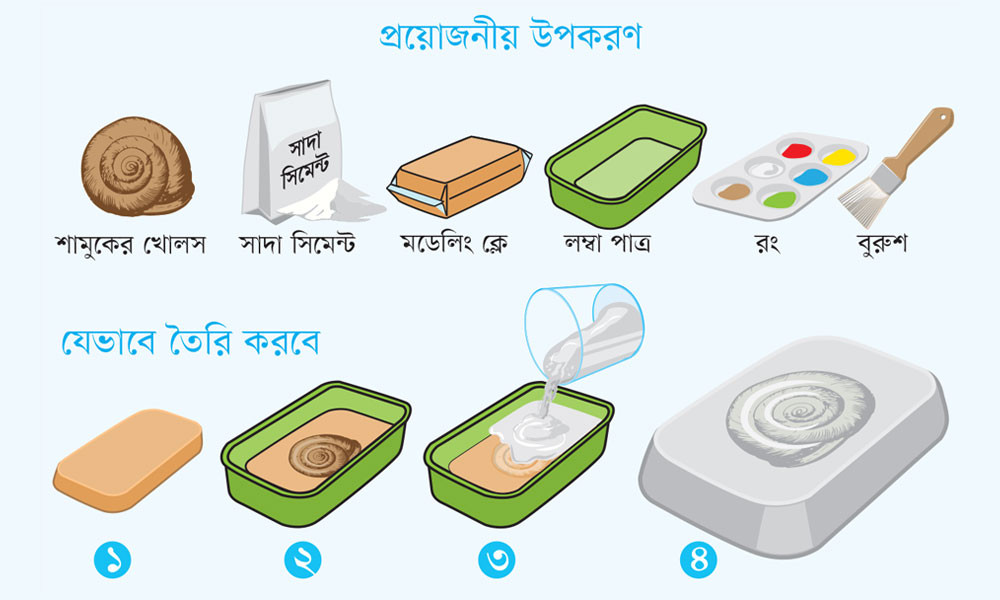 এবার বানাও ফসিল