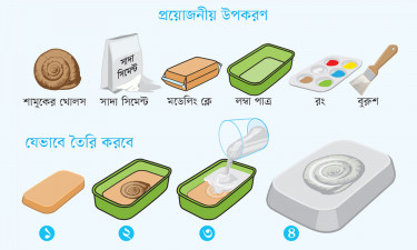 এবার বানাও ফসিল