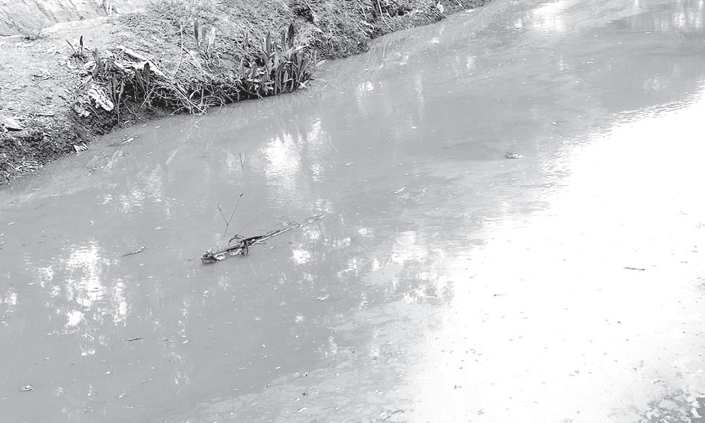 কারখানার বিষাক্ত বর্জ্যে দূষিত কুমিরা খাল