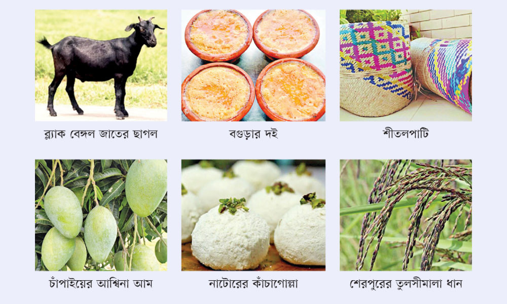 জিআই মর্যাদা পাচ্ছে ৭ পণ্য