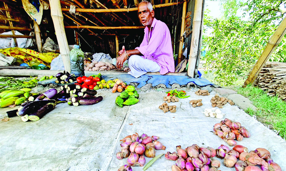 ভাগায় সবজি
