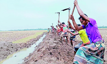 বিল দখলমুক্ত করতে কোদাল হাতে জেলেরা