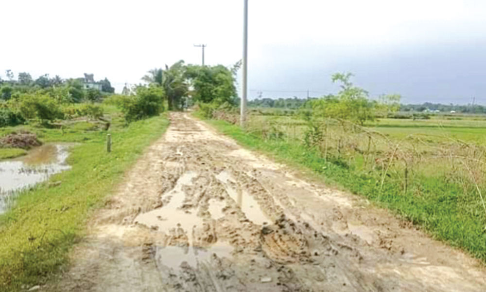 সড়ক পেরোতে হয় কাদা-পানি মাড়িয়ে