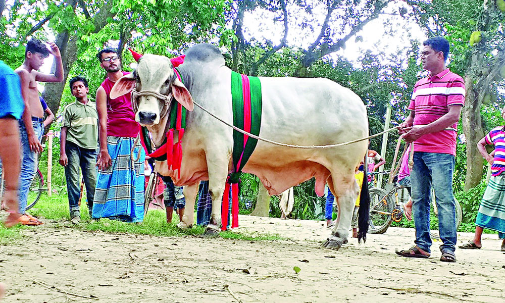 প্রধানমন্ত্রীর জন্য ভালোবাসা