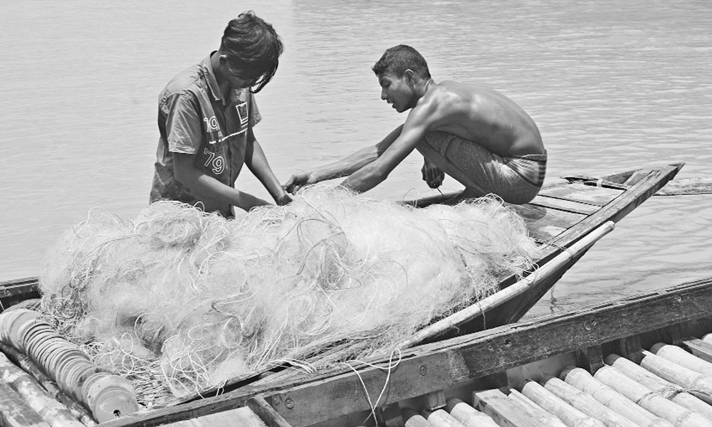 নিষিদ্ধ কারেন্ট জাল