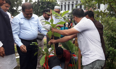 বঙ্গবন্ধুর সমাধিতে সড়ক ও জনপথ বিভাগের সচিবের শ্রদ্ধা