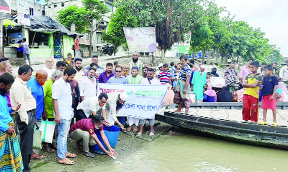 ভৈরব নদে মাছের পোনা অবমুক্ত