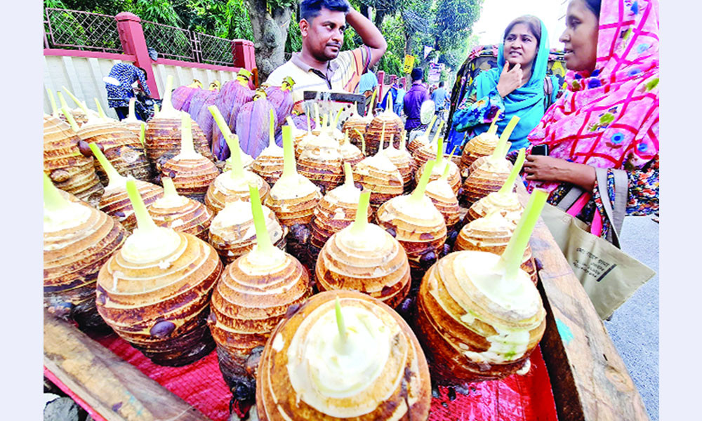 কচু