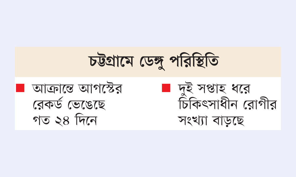 হাসপাতালে রোগী বেড়েছে