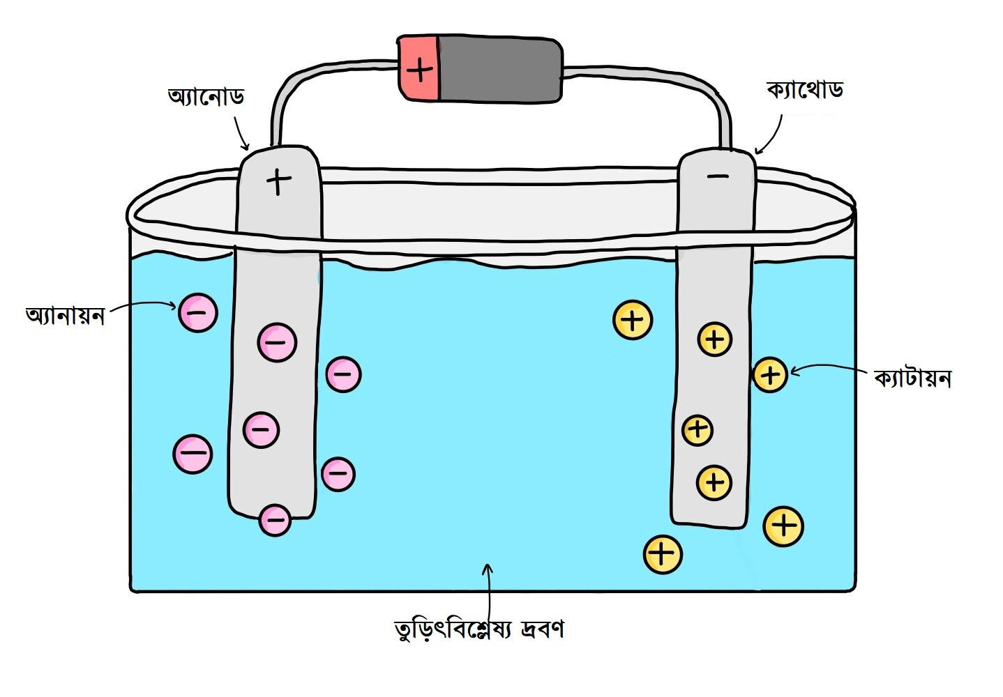 এসএসসি রসায়ন: তড়িৎবিশ্লেষণ