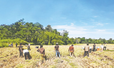 কথা রাখলেন রাঙামাটির সেই তরুণরা