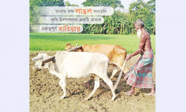 লাঙল