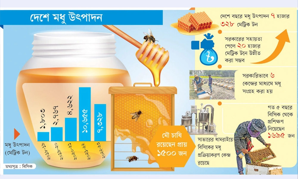 ৫ বছরে মধু উৎপাদন বেড়েছে চার গুণ