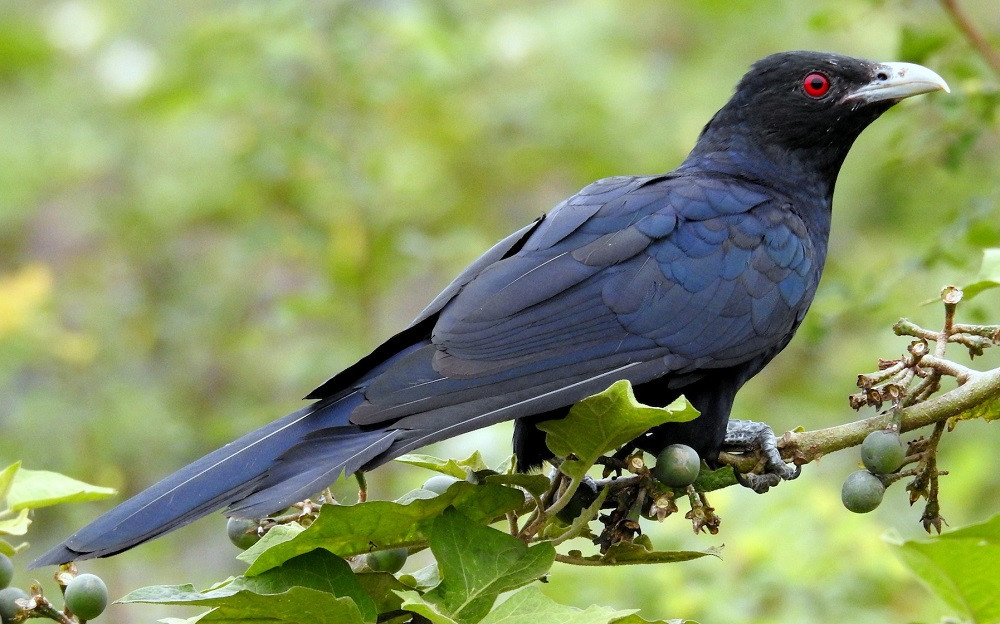 Ertalab jinsiy aloqada bolgan yosh er-xotinning video