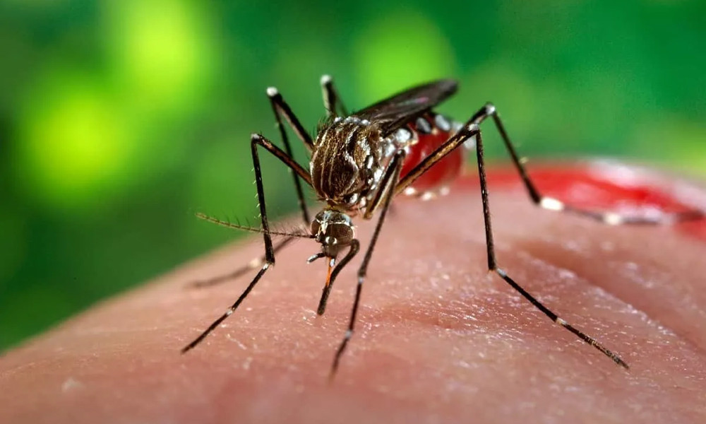 Nadya haqida uy qurilishi shaxsiy porno