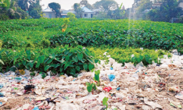 শতবর্ষী পুকুর দখলে প্রভাবশালীরা