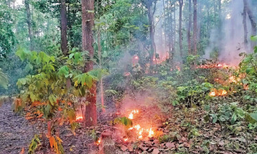 শালবনে আগুনের থাবা