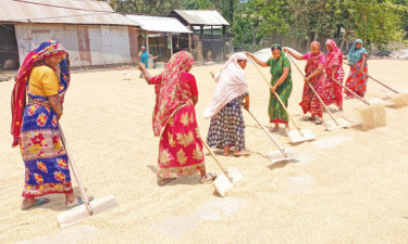 চাতালে ব্যস্ত নারী শ্রমিক রয়েছে বেতনবৈষম্য