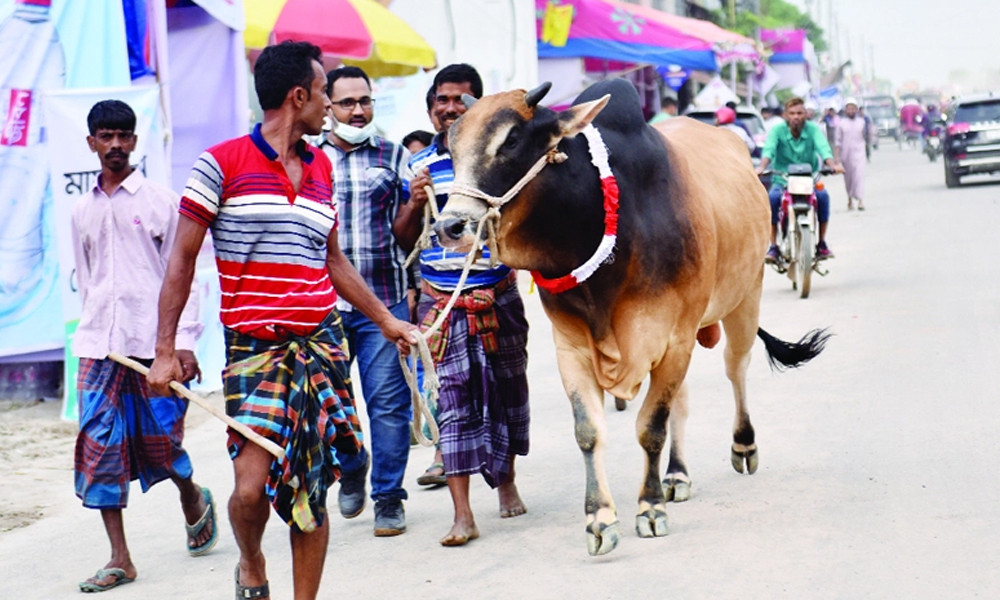 কোরবানির ঈদে ছুটি মিলতে পারে পাঁচ দিন