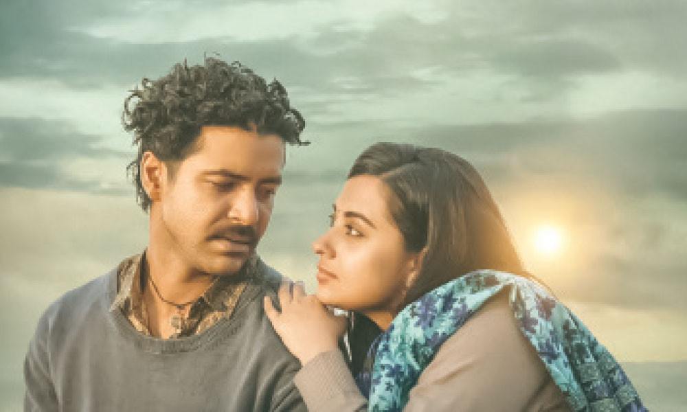 আজ থেকে যুক্তরাষ্ট্রে দেয়ালের দেশ